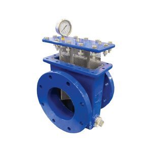 in line strainers